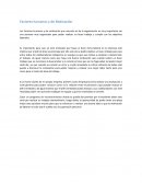 Factores Humanos y de Motivacion