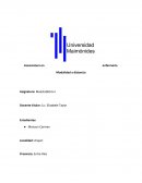 ¿Por qué la constitución es la ley fundamental del Estado?