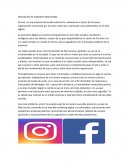 Descripción de la gestión desarrollada