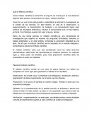 Metodo cientificio, metodologias