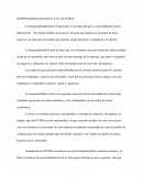 RESPONSABILIDA SOCIAL EN LAS PYMES