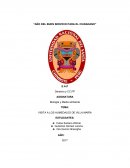 Visita a los Humedales de Villa María. Chimbote-Perú