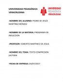 TEXTO COMPRESION LECTORA