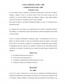 EJEMPLO DE LA CARACTERISTICAS DEL AIRE