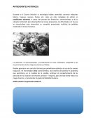 Generador de fichas descriptivas