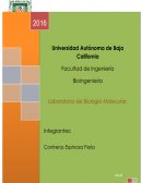 Bitácora de Biología Molecular