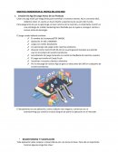 TRAFICO DE SITIO WEB