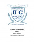 Administración del proceso de desarrollo organizacional