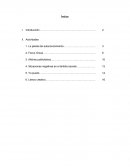 El presente documento es un Manual de Actividades