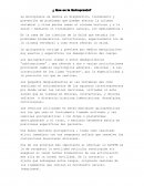 Desarrollo de la ¿ Que es la Quiropraxia?