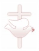 Resumen Polarización de grupo