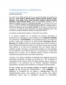 Analisis de el diseño organizativo y administrativo