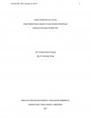 EnsayoEste fenómeno se presenta siempre que de la luz emitida por una fuente se separa una fracción interponiendo un cuerpo opaco y esto es lo que da origen a su nombre: división en fracciones.