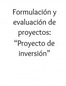 Bases para proyecto de inversion en tabla de picar. Ejemplo