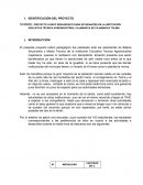 PROYECTO LUDICO PEDAGÓGICO PARA ESTUDIANTES DE LA INSTITUCIÓN EDUCATIVA TÉCNICA AGROINDUSTRIAL CAJAMARCA DE CAJAMARCA TOLIMA