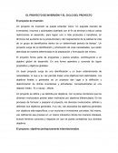 EL PROYECTO DE INVERSIÓN Y EL CICLO DEL PROYECTO