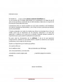 LA NUEVA CARTA COMERCIAL INMOBILIARIA