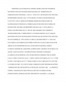 LOS MODELOS COMPRAR VENTAS