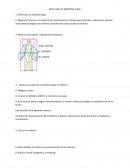 Uién es el padre de la medicina legal en México?