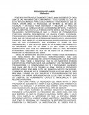 La Pedagogía del amor (Reflexión)