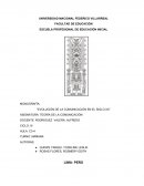 Desarrollo de la evolución de la comunicación