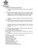 ¿Indique cuál de las pruebas de las bombas rotativas es la más importante y porque?