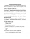 DIAGNOSTICO DE CLIMA LABORAL