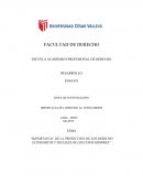 Importancia de la proteccion de los derecho economicos y sociales de los consumidores