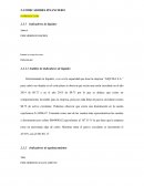 Análisis de indicadores de liquidez