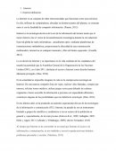 Ensayo sobre lo que es el internet