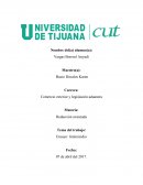 Comercio exterior y legislación aduanera