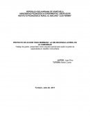 PROYECTO DE ACCION PARA MINIMIZAR LA DELINCUENCIA JUVENIL EN LA COMUNIDAD