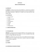 CAPITULO IV. MEZCLA DE MERCADOTECNIA