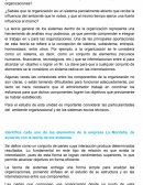 ¿Cómo establecer adecuadamente el enfoque de sistemas, aplicable a las organizaciones?