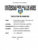 MONOGRAFIA SOBRE EL PROCESO DE EJECUCION LABORAL
