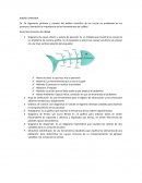 KAORU ISHIKAWA calidad