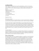 ObrA MANOS DE DIOS