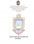 ASIGNACIÓN DE VOLUMEN DE CONTROL