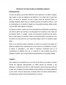 PROYECTO DE VIDA DE MELITA BARRERA DIONICIO