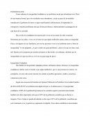 Ensayo- Inseguridad ciudadana