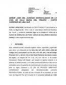 DEMANDA DE REIVIDICACION