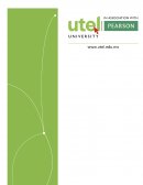 Eficiencia Laboral en estos tiempos