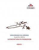 ENSAYO “la implementación de la educación ambiental desde la infancia”