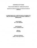 Importancia de la Proteccion de los Dibujos y modelos industriales