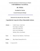 Capacidad de carga turística y ecoturismo: Un estudio en la playa Matacaballo