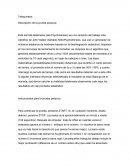 Telequinesis Descripción de la prueba psíquica