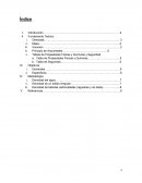 Practica Densidad. Fundamento Teórico