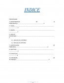 COMO ES EL PLAN DE GOBIERNO DE DISTRITO DE AJOYANI PROVINCIA DE CARABAYA