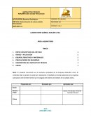 LABORATORIO QUÍMICO ANALMIN LTDA.