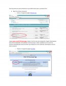 Este documento es para orientarlos en que deben hacer para su proyecto final
